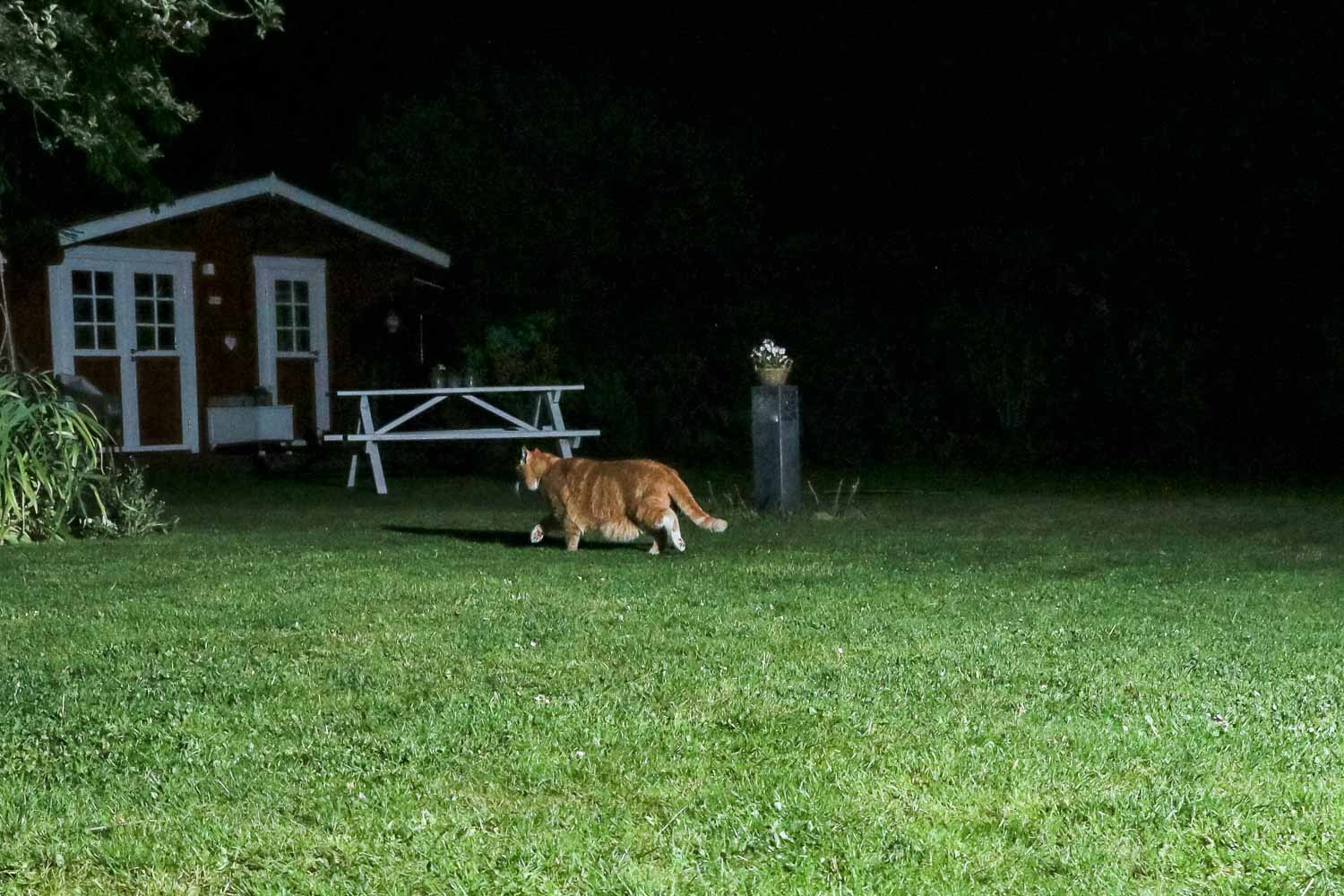 Raspberry Pi Fotofalle,Bewegungsmelder Kamera,DIY Fotofalle,Fotoprojekt,Wildtierfotografie,camtraption,wildkamera,fotofalle