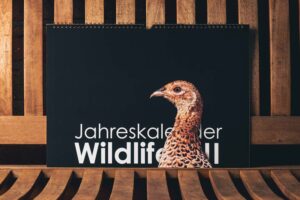 Jahreskalender Wildlife II