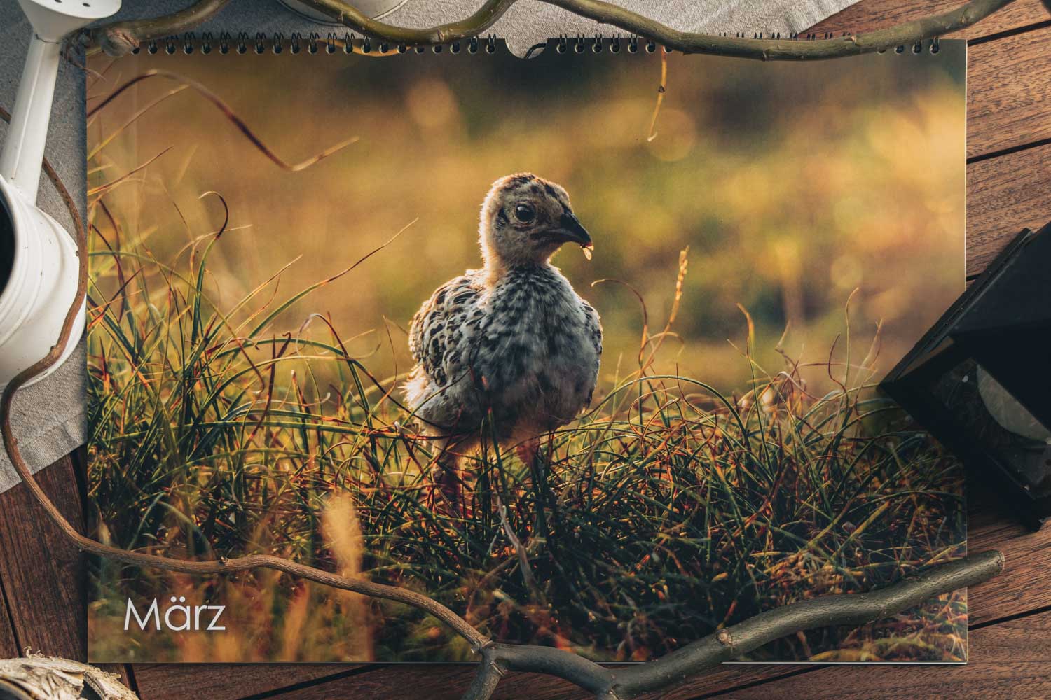 Wildlife Kalender,Tierfotografie,Jahreskalender,Fotokalender,Naturfotografie,minimalistische Kalender,Reisefotografie,Jahreskalender Wildlife II