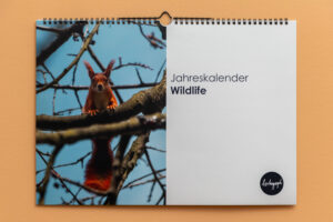 Jahreskalender Wildlife I