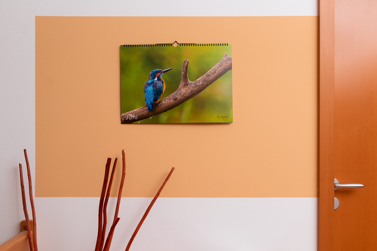 Projekte Übersicht,Fotoprojekte,Filmprojekte,Webentwicklung Projekte,Kalenderprojekte,Projekte,portfolio