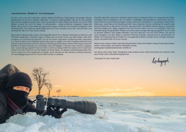 Jahreskalender Wildlife III – Bild 5