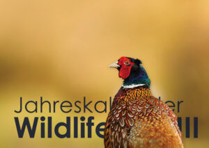 Jahreskalender Wildlife III