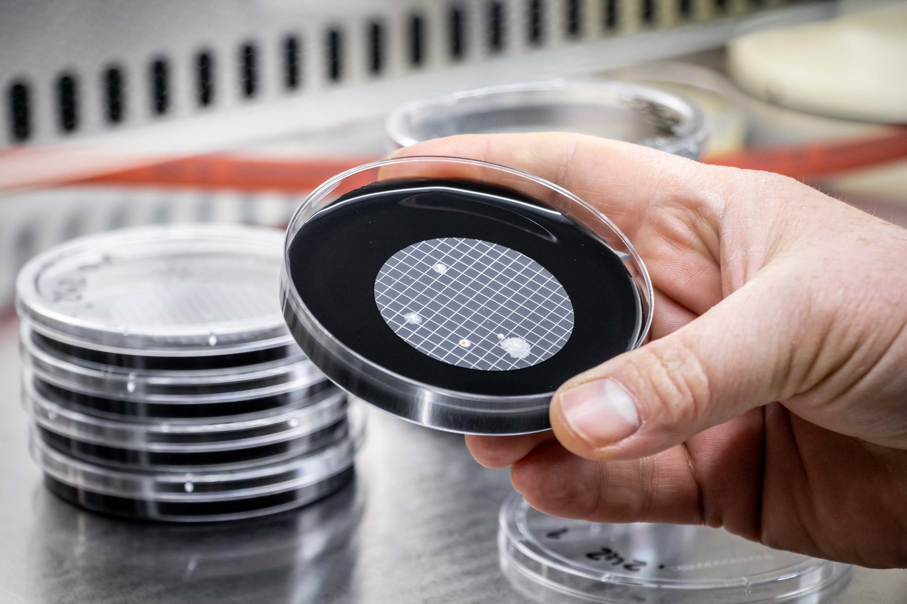 ifb Halle,Corporate Design,Webentwicklung,Fotografie Halle,Website erstellen,Visitenkarten Design,Webdesign,Unternehmensfotografie