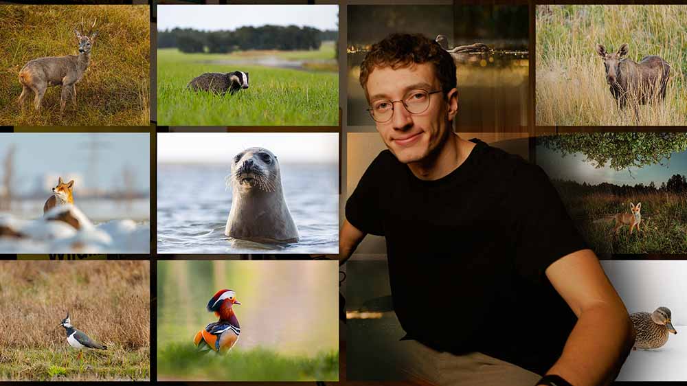 Jahreskalender,Fotokalender,Wildlife Kalender,Landschaftskalender,Kalender kaufen,Kalender