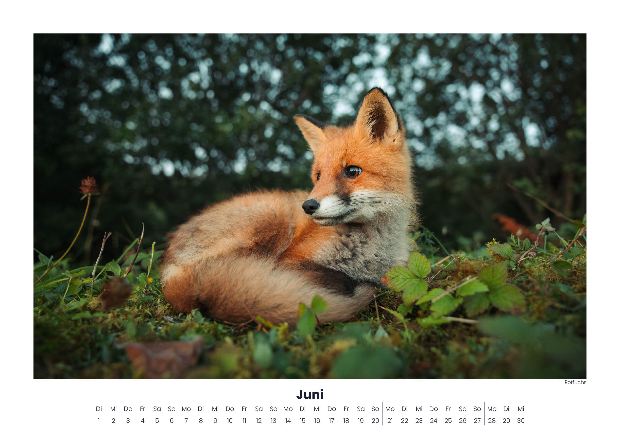 kalender frankreich 2027